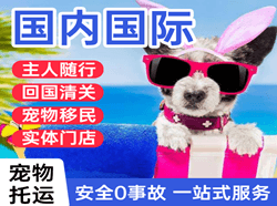 福成空运地址国际宠物托运 【国